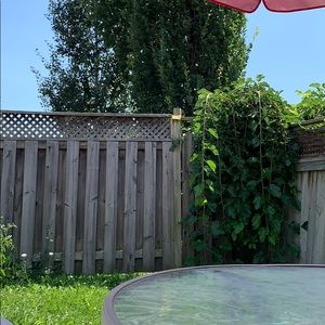 Meet your Posher, Anne